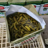 فروش فوری خیار شور حلب سوپر ویژه|خوردنی و آشامیدنی|تهران, مولوی|دیوار