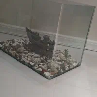 آکواریم سالم شیشه خم به همراه لوازم|ماهی|مشهد, رضاشهر|دیوار