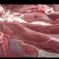 کوبیده گوشت و مرغ