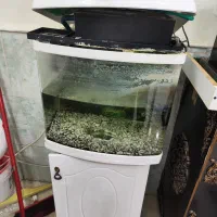 آکواریوم و ماهی