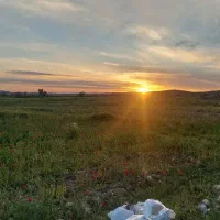 فروش-زمین-250هکتاری