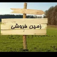 زمین بادپا مقیمی