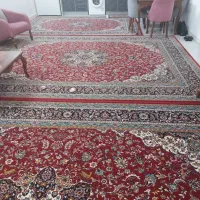 فرش دوازده متری نو|فرش|چمستان, |دیوار