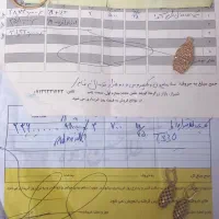 طلا نو نو ۱۵۰ بالای تابلو|جواهرات|شیراز, آزادگان|دیوار