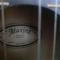 گیتارماکسین|گیتار، بیس، امپلیفایر|کرمانشاه, |دیوار