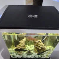 اکواریوم K390