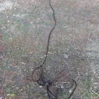 سیم بوکسور ۱۰ تنی سالم|ابزارآلات|اردبیل, |دیوار