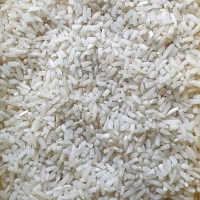 برنج سرلاشه قیمت 270