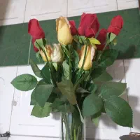 گل رز پلاستیکی