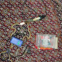 اکواریوم شیشه خم|ماهی|رباط‌کریم, شترخوار|دیوار