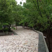 سنگ کف باغ(لاشه)