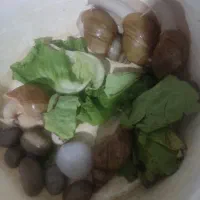 فریزر حلزون درمانی|خزنده|زاهدان, |دیوار