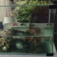 آکواریوم با لوازم