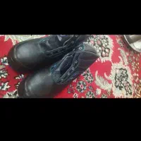 پوتین ایمنی