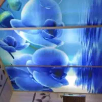 سقف کاذب کناف تایل پی وی سی|خدمات پیشه و مهارت|کرج, شهرک نهال و بذر|دیوار