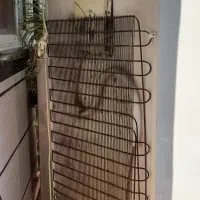 یخچال|یخچال و فریزر|ضیابر, |دیوار