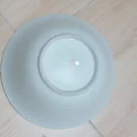 تعدادی چینی قدیمی|کلکسیون اشیاء عتیقه|اصفهان, باغ زرشک|دیوار