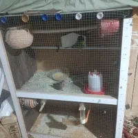 وسایل خانگی خرت پرت|یخچال و فریزر|کنارک, |دیوار