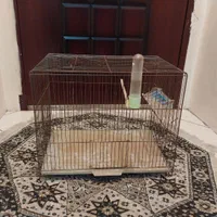 قفس بزرگ وقفس جوجه پرون