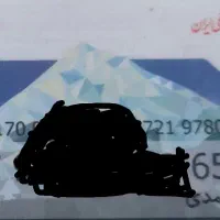 گواهینامه گمشده