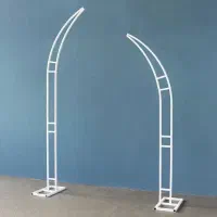 فروش دوعددبکگراند دلفینی