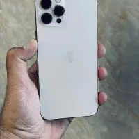 دوازده پرومکس استثنائی پلمپ و آس(عروسک)
