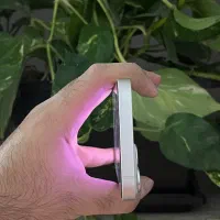 ایفون 13|موبایل|مشهد, میعاد (شهرک غرب)|دیوار