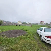 فروش زمین/ ویودار/ ۲۸۰متری/با بهترین شرایط پرداخت|فروش زمین و ملک کلنگی|تالش, هشتپر|دیوار