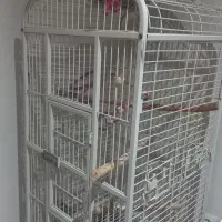 قفس کاسکو خارجی