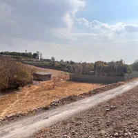 زمین ۲۵۰ متری در روستا کوشک زر|فروش زمین و ملک کلنگی|هشتگرد, کوشک زر|دیوار