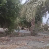 فروش ۳۰۰۰ متری|فروش دفتر صنعتی، کشاورزی، تجاری|کهنوج, |دیوار