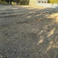 زمین باغ بر جاده|فروش زمین و ملک کلنگی|برزک, |دیوار