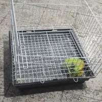 قفس خرگوش