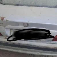 ماشین تصادفی