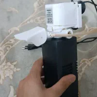 اکواریوم شیشه خم|ماهی|مشهد, امیر المومنین|دیوار