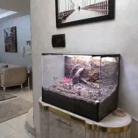 ساختمان3طبقه2واحدفول84mطبقه1/نبش/برخیابان فلسطین|فروش آپارتمان|اردبیل, |دیوار