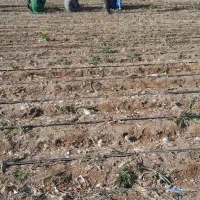 حفاری چاه آب وفاضلاب با کمترین قیمت