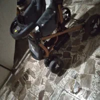 کالسکه برند دلیجان|کالسکه و لوازم جانبی|صومعه‌سرا, |دیوار