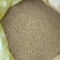 بذر یونجه 480|خدمات باغبانی و درختکاری|سبزوار, ابارش|دیوار