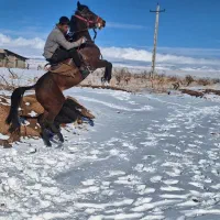 مادیون ۳ساله کرد