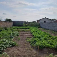 فروش فوری زمین بی نظیرداخل بافت-پنج کیلومتری گرگان