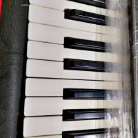 Genos1|پیانو، کیبورد، آکاردئون|بجنورد, |دیوار