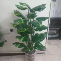 درختچی مصنوعی