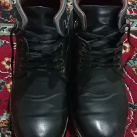 کفش چرمی مردانه در حدنو