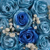 گل ربانی برای یلدا