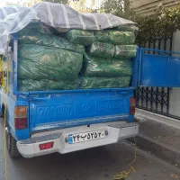 پخش زغال کبابی گونی درجه یک (عمده و بدون خاک )|عمده‌فروشی|تهران, بهداشت|دیوار