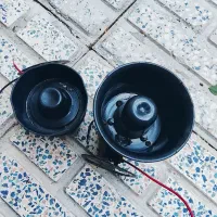 آژیر بوق دزدگیر ماشین خودرو سهره پرنده