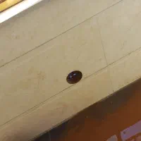 کرگیری برش بتن وسوراخکاری گردبر کورگیری|خدمات پیشه و مهارت|شهر بابک, |دیوار