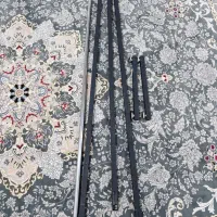 رگال در حد نو