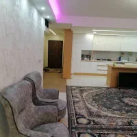 مجتمع چند واحد ی بهترین متروپال